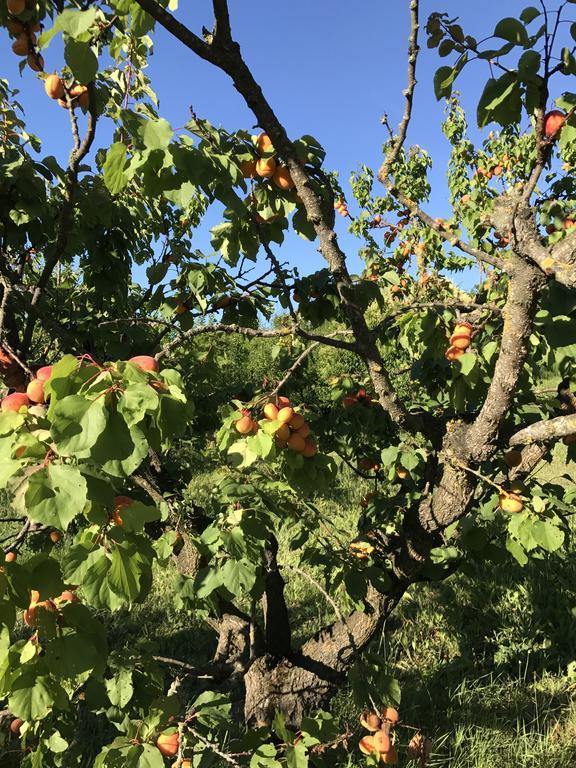 Готель Agriturismo Ca Lunati Castelletto Mendosio Екстер'єр фото